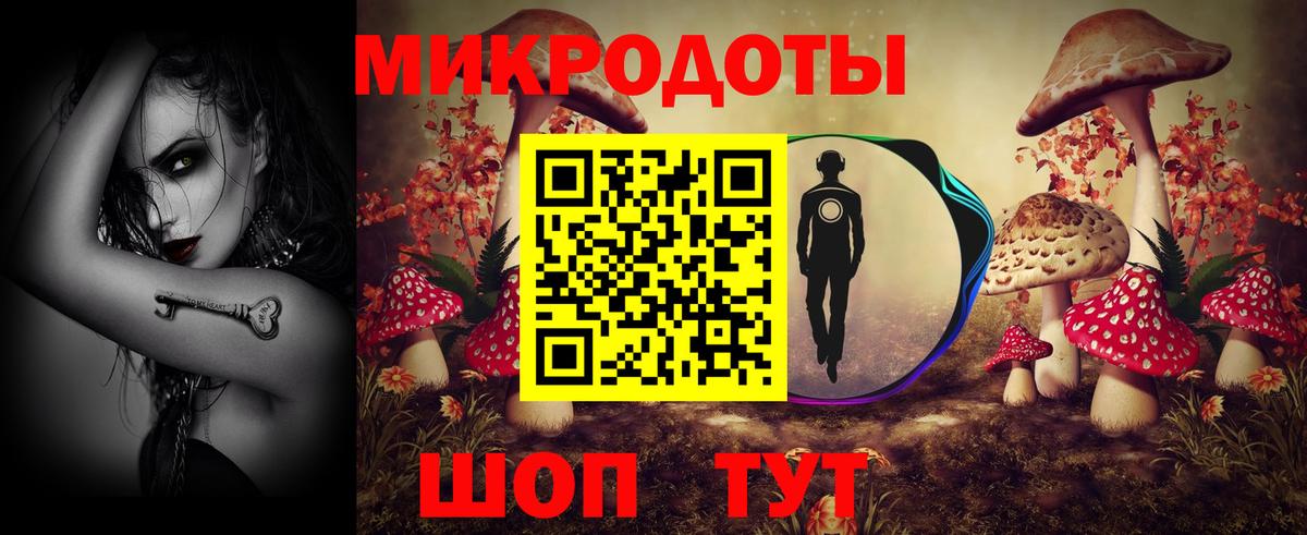 Сыктывкар  Галлюциногенные грибы Cubensis  Вход с VPN 