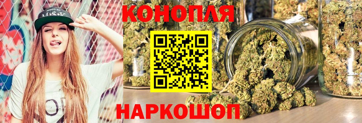 Бошки Шишки семена Сыктывкар